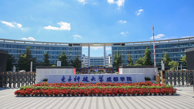 电子科技公司优缺点：揭秘行业背后的真相
