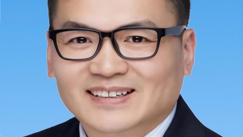 热继电器与过载继电器：能否互换的秘密**
