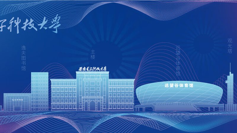 成都电子模块与芯片市场的差异解析